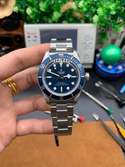 Tudor_31