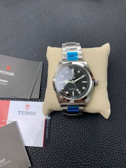 Tudor_14
