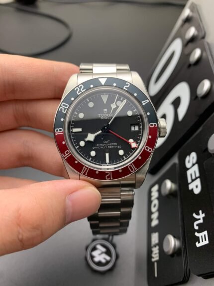 Tudor_33
